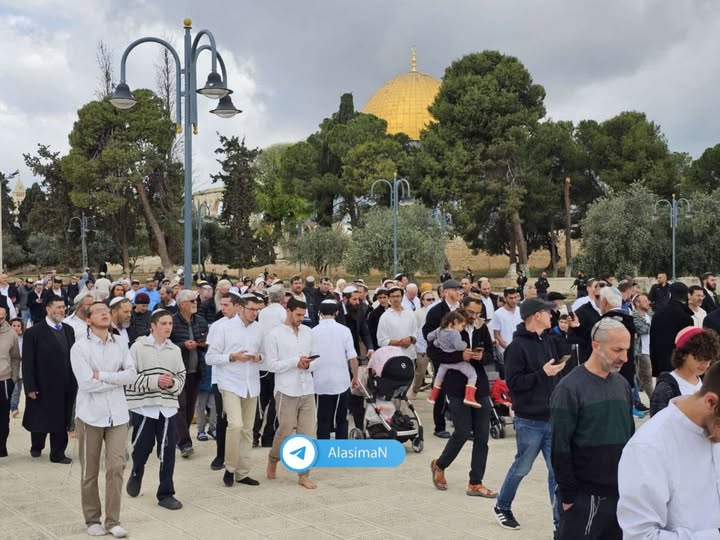 Jews-defile-Aqsa-2 Jews-defile-Aqsa-2