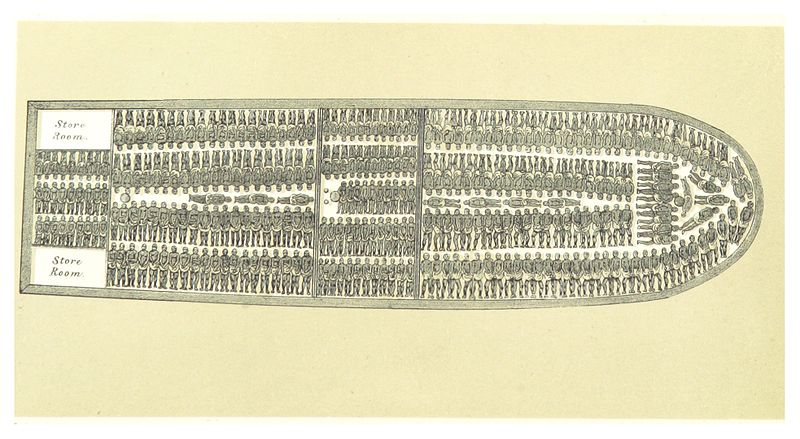 Diagram of a slave ship in 1854
